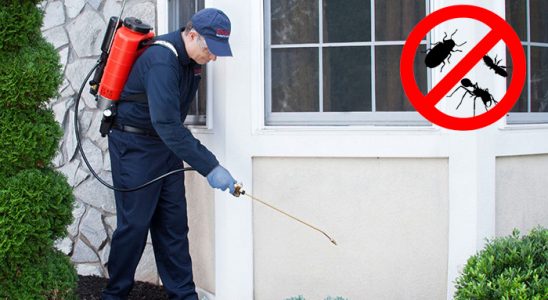 Kozlu Kemirgen İlaçlama böcek ilaçlama ve haşere kontrolü — ilaclama-tr.com